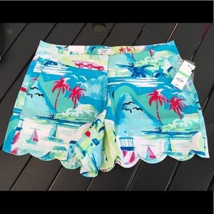 Crown & Ivy Women’s Size 8 Shorts